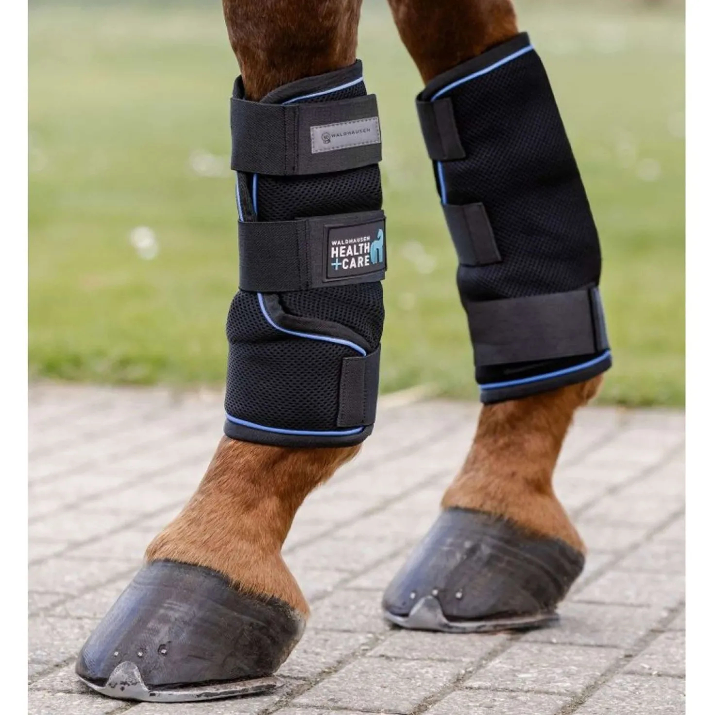 Waldhausen Health + Care Ice Boots Zwart