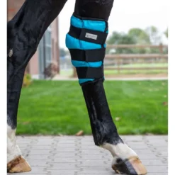 Waldhausen Health + Care Ice Boot Gel Spronggewricht Petrol