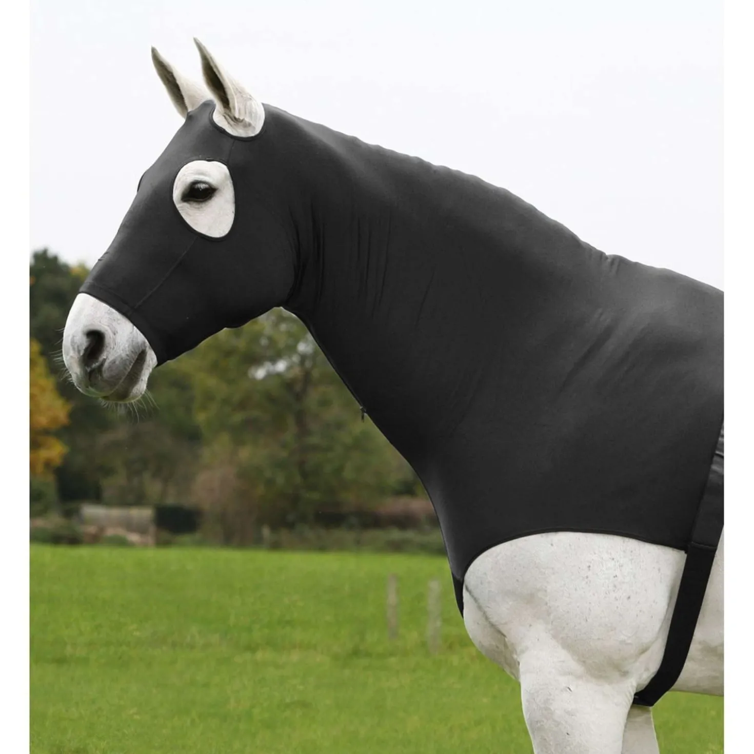 Waldhausen Hood Comfort Combination Zwart