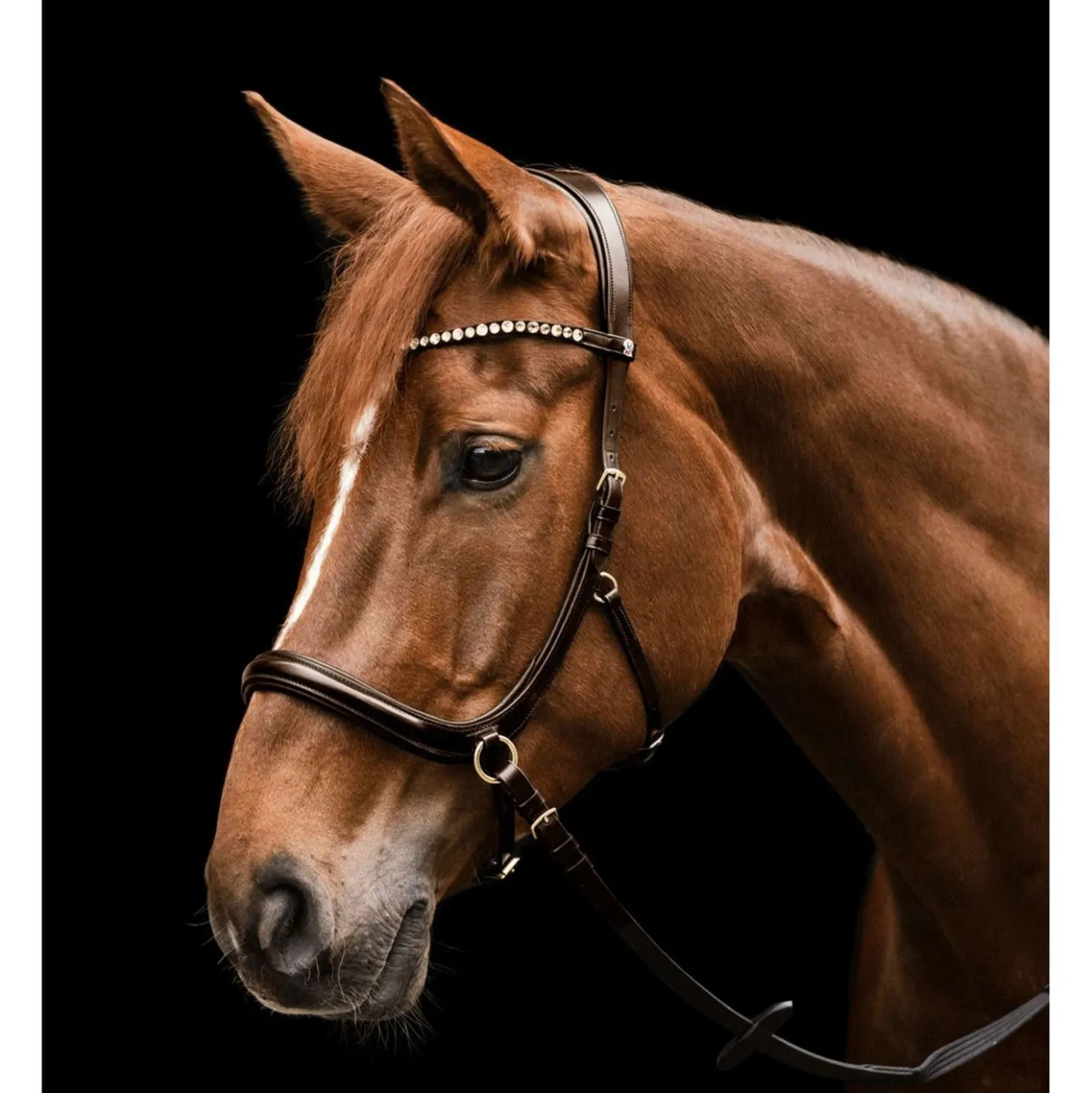 Waldhausen Hoofdstel X-Line Sensation Bruin