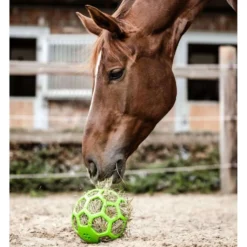 Waldhausen Hooibal Groen