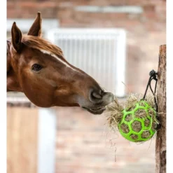 Waldhausen Hooibal Groen