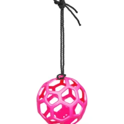 Waldhausen Hooibal Roze