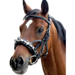 Waldhausen Kaptoom Leder