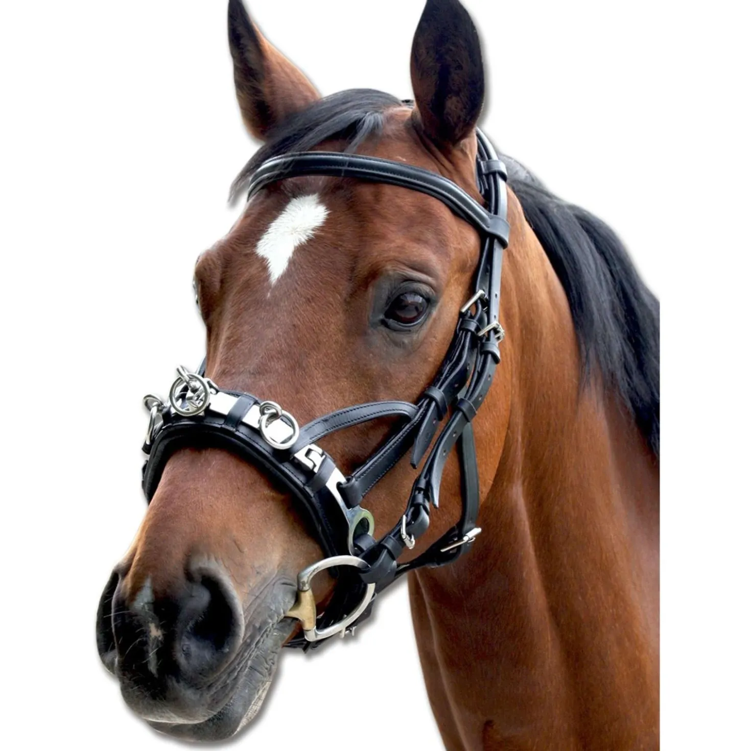 Waldhausen Kaptoom Leder