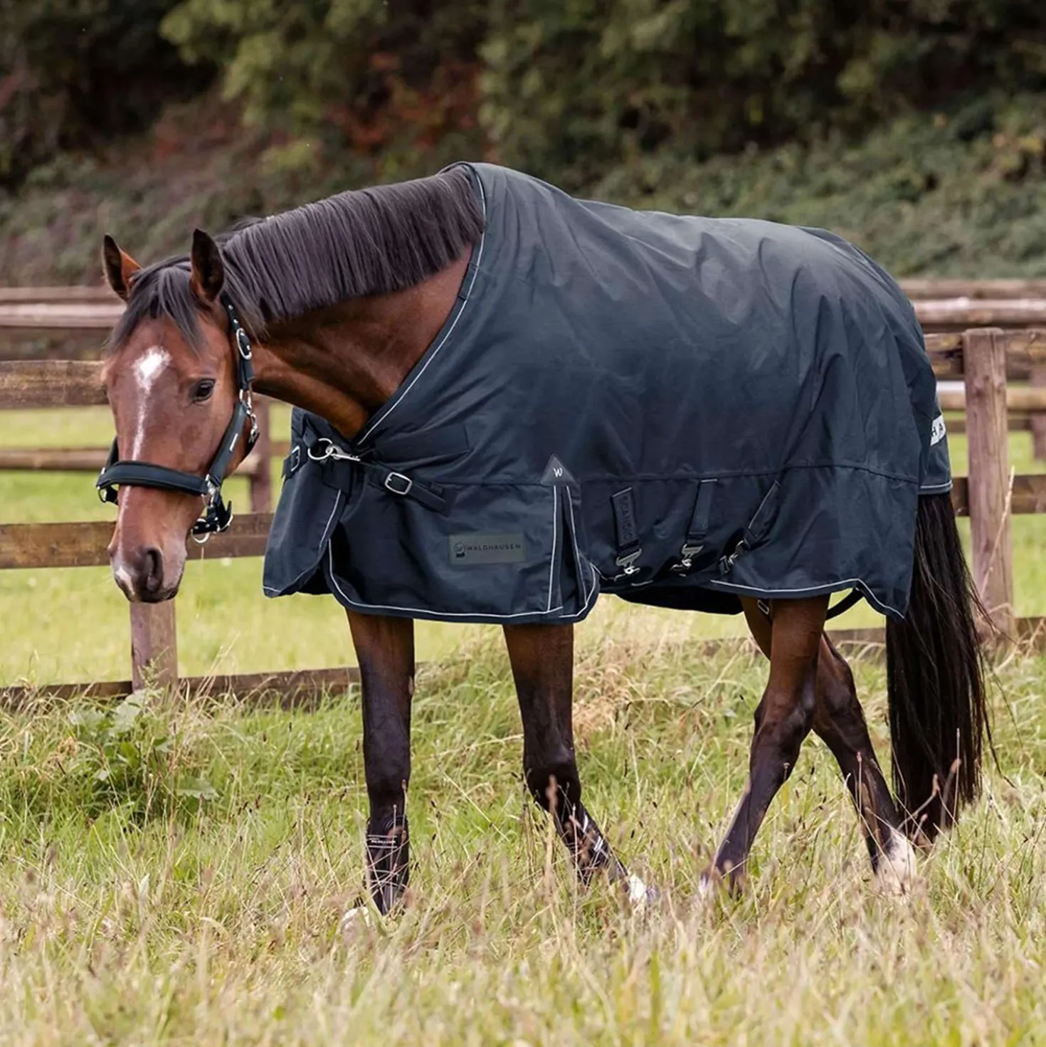 Waldhausen Outdoordeken Scandic Multi-Layer 100/250g Nightblue