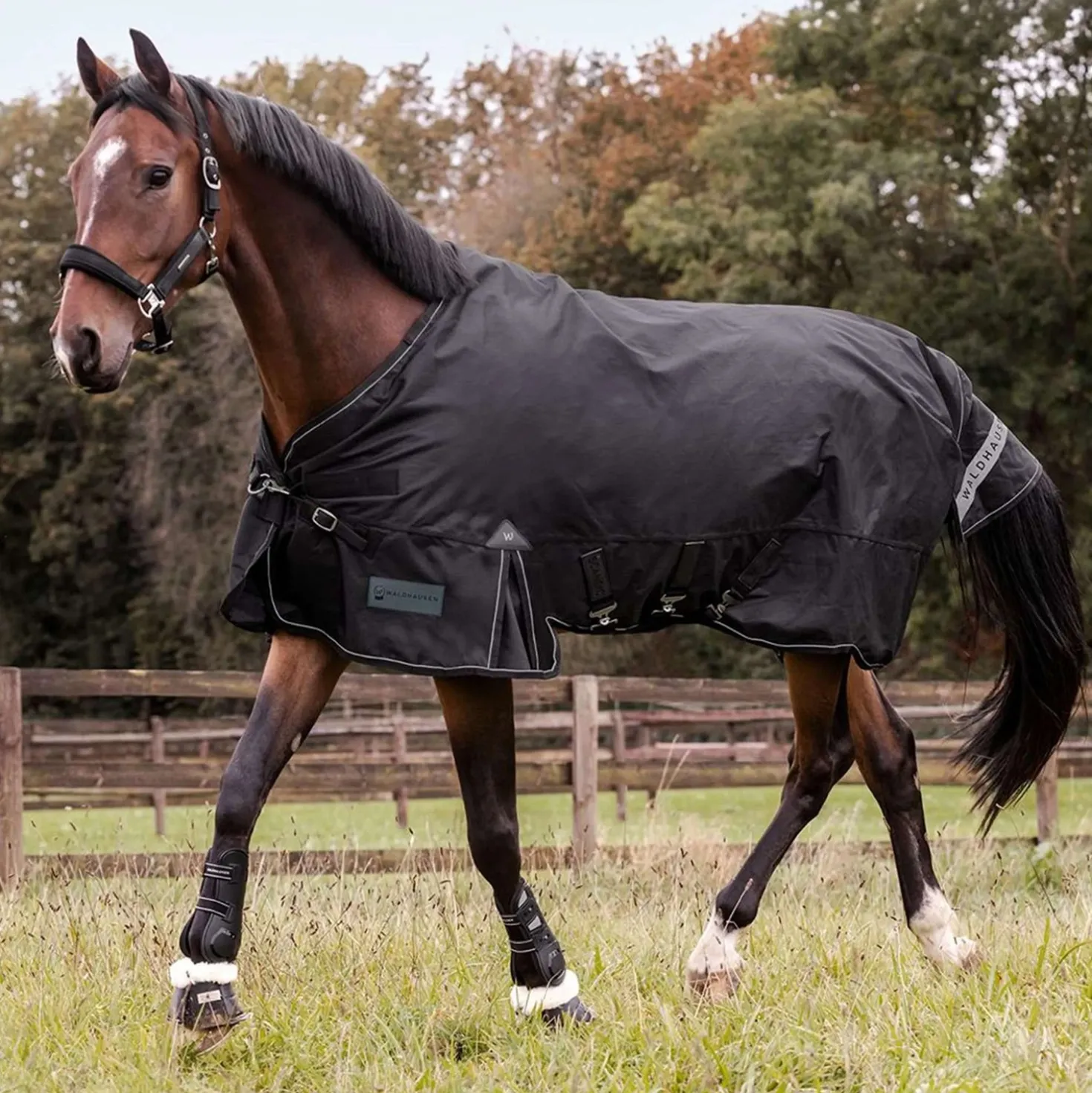 Waldhausen Outdoordeken Scandic Multi-Layer 100/250g Zwart