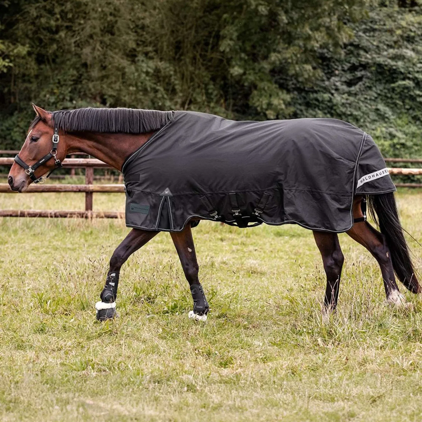 Waldhausen Outdoordeken Scandic Multi-Layer 100/250g Zwart