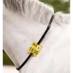 Waldhausen Riding Strap Zwart
