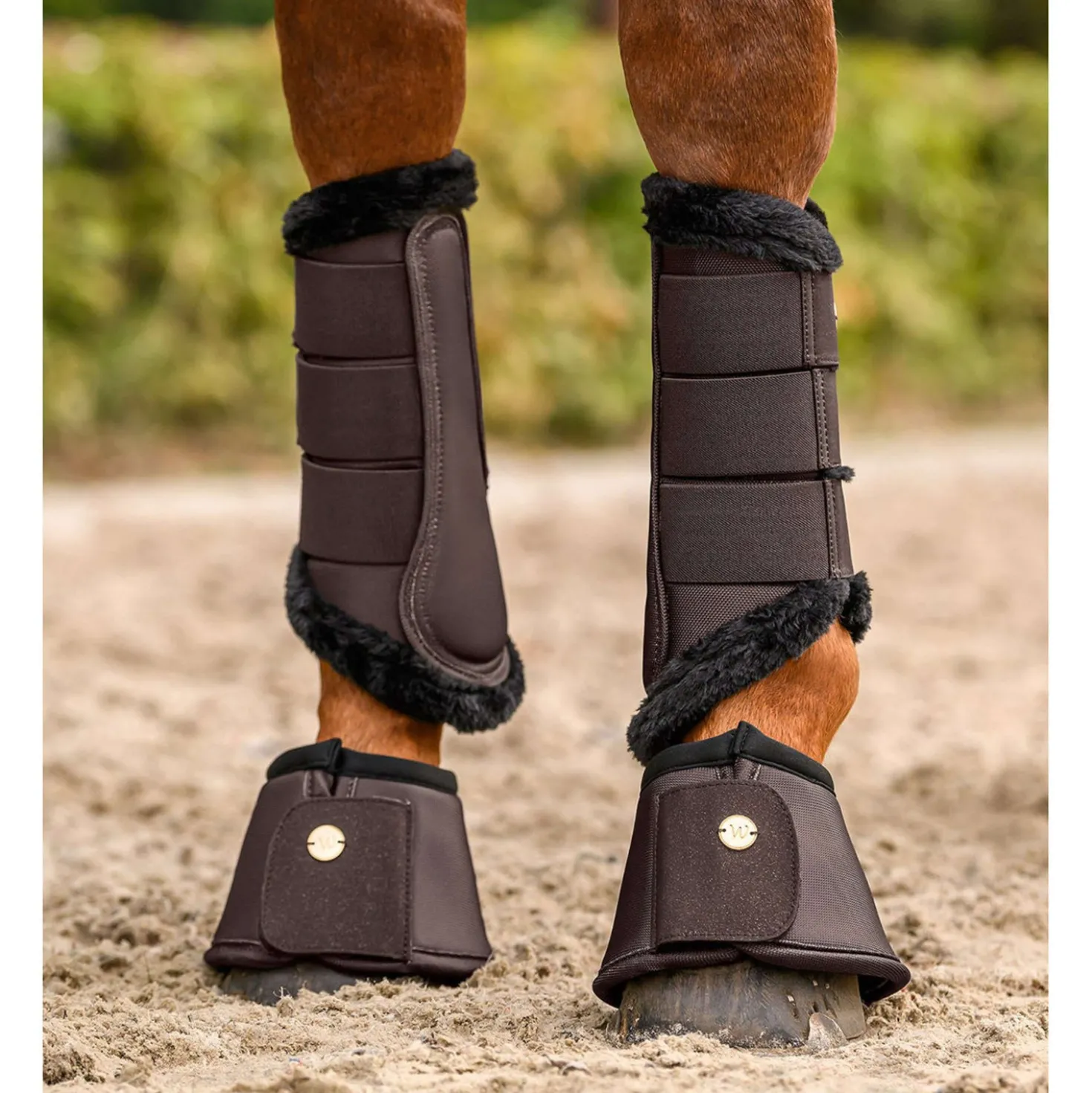 Waldhausen Springschoenen Phoenix Espresso