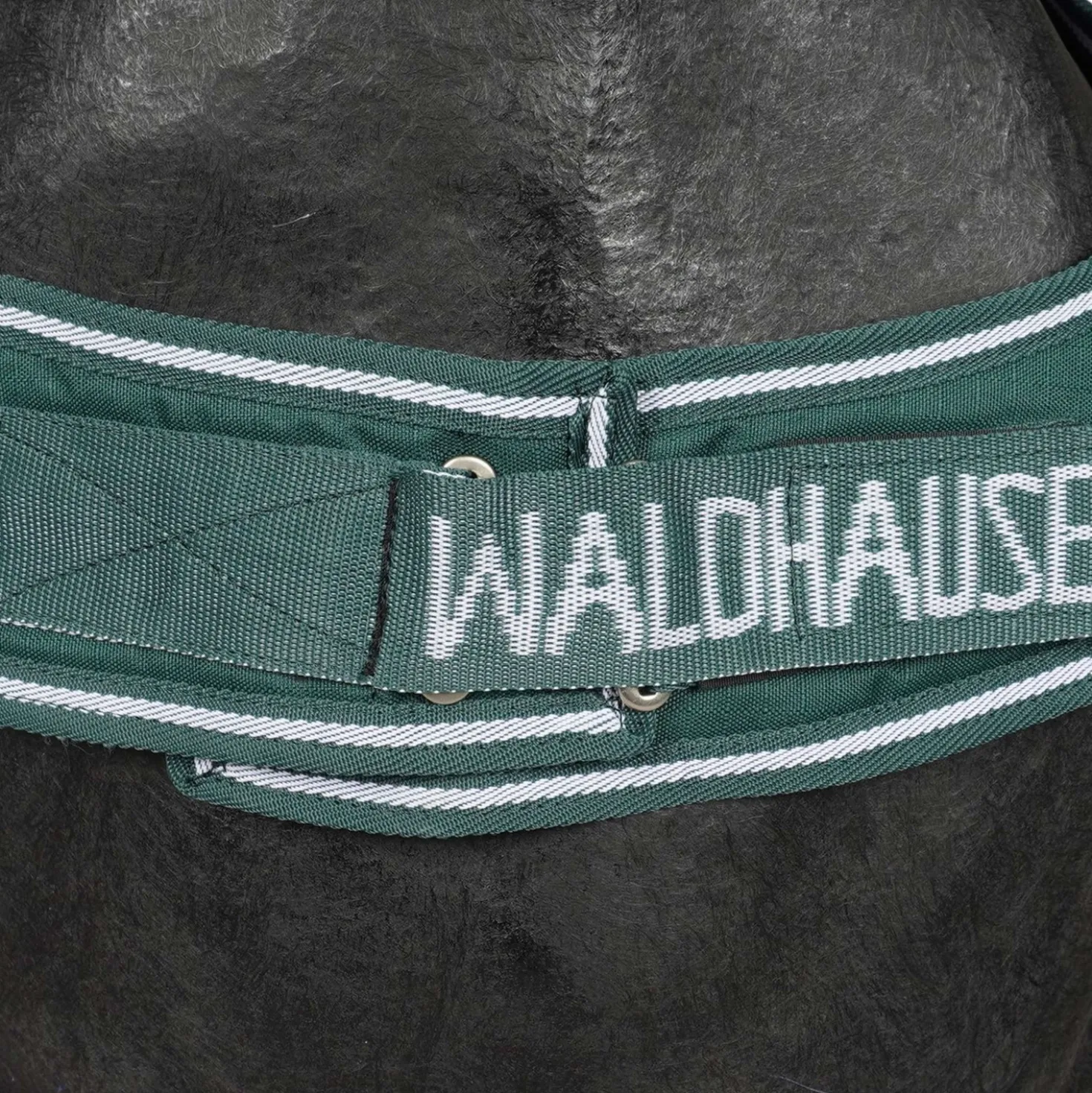 Waldhausen Stapmolendeken 100g Fir Green
