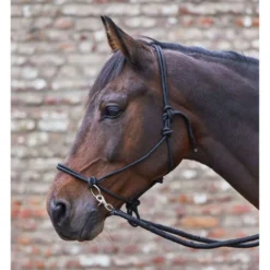 Waldhausen Touwhalster met Teugels Zwart