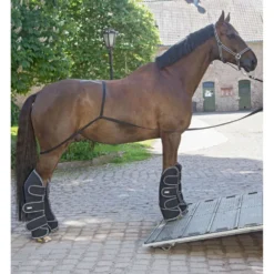 Waldhausen Trailerlijn voor Laden