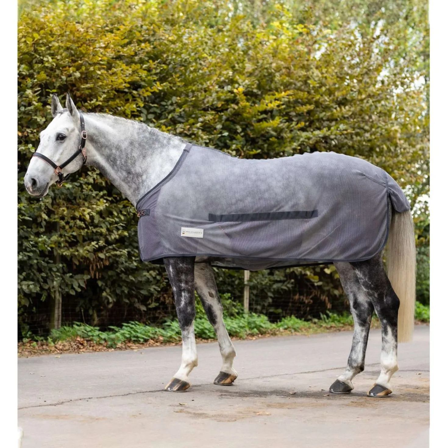 Waldhausen Vliegendeken Comfort met Buikflap Grijs