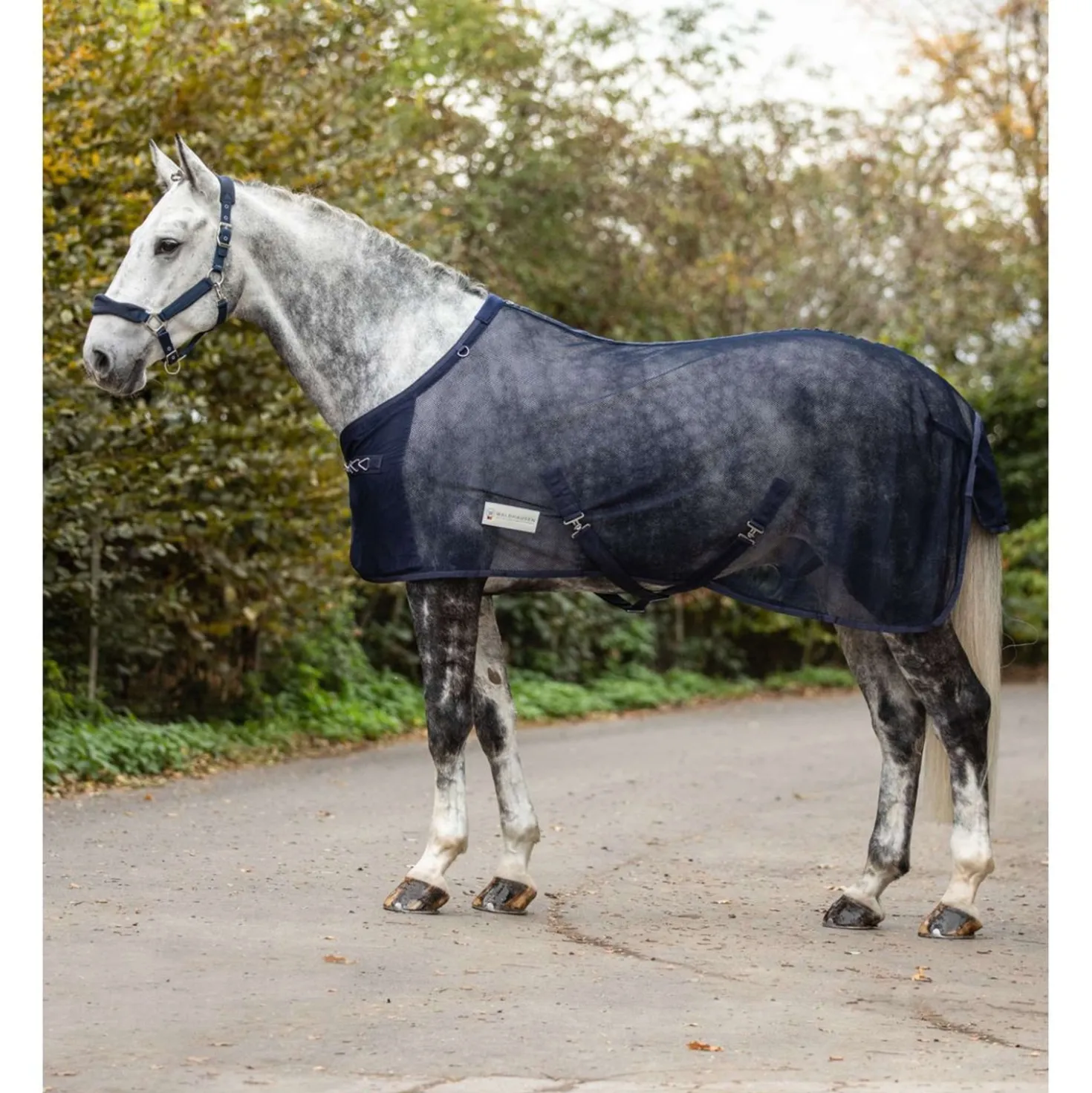 Waldhausen Vliegendeken Comfort met Kruissingels Nightblue