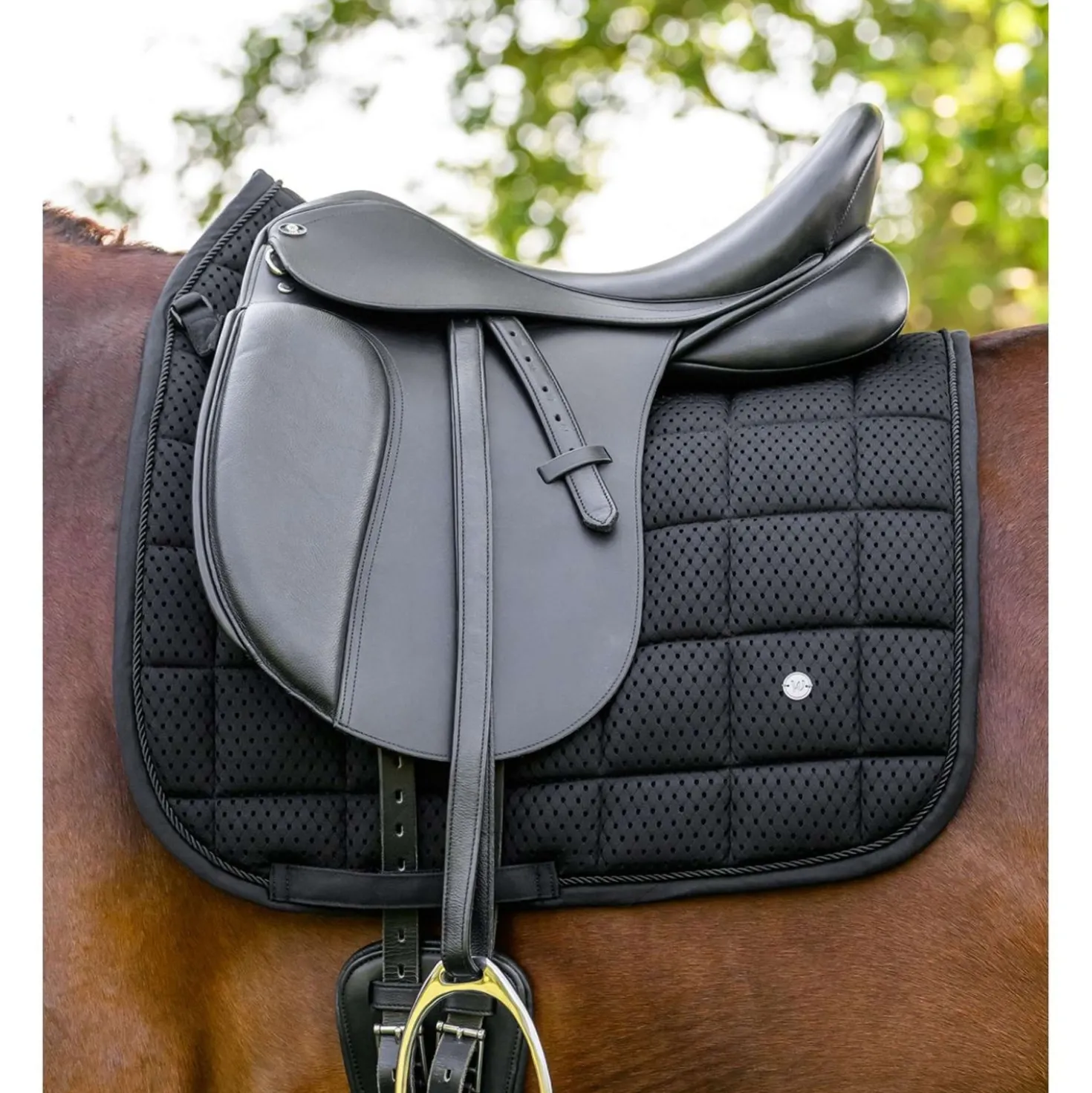 Waldhausen Zadeldekje Breath Performance Dressuur Zwart