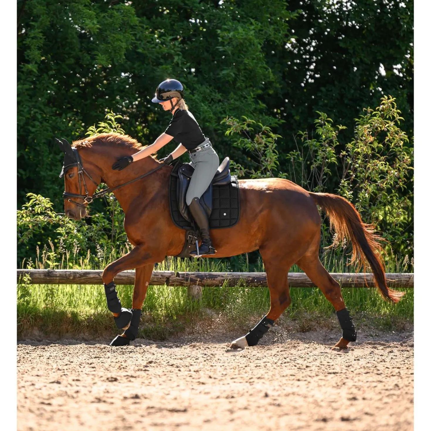 Waldhausen Zadeldekje Breath Performance Dressuur Zwart