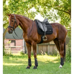 Waldhausen Zadeldekje Breath Performance Dressuur Zwart