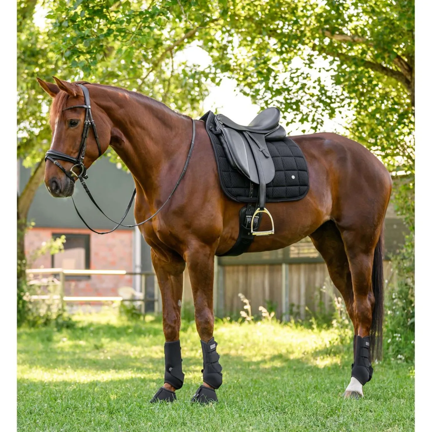 Waldhausen Zadeldekje Breath Performance Dressuur Zwart