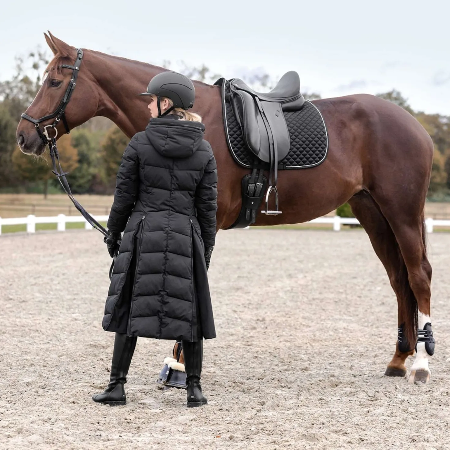 Waldhausen Zadeldekje Felix Glam Dressuur Zwart