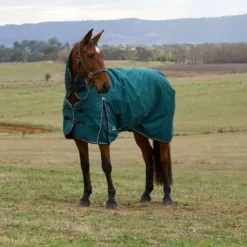 WeatherBeeta ComFiTec Classic Turnout Combo 50g Forest Green/Black