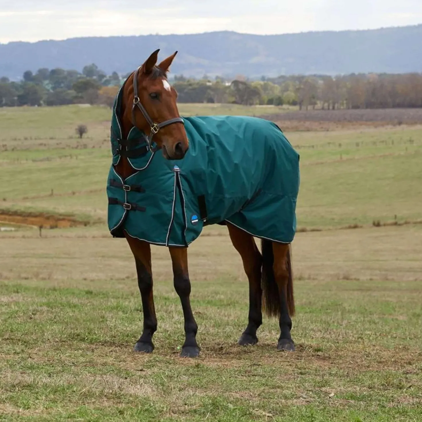 WeatherBeeta ComFiTec Classic Turnout Combo 50g Forest Green/Black