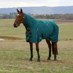 WeatherBeeta ComFiTec Classic Turnout Combo 50g Forest Green/Black