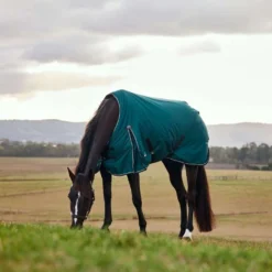 WeatherBeeta ComFiTec Classic Turnout 50g Forest Green/Black