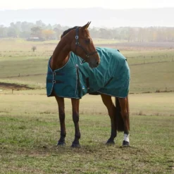 WeatherBeeta ComFiTec Classic Turnout 220g Forest Green/Black
