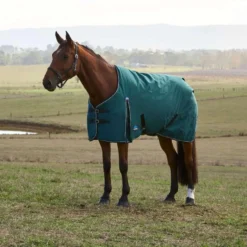 WeatherBeeta ComFiTec Classic Turnout 220g Forest Green/Black