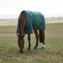 WeatherBeeta ComFiTec Classic Turnout 220g Forest Green/Black