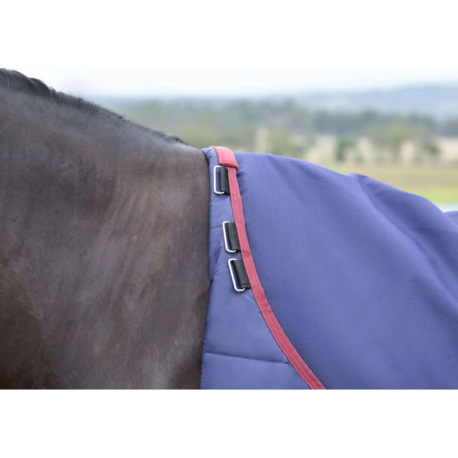 WeatherBeeta ComFiTec Essential Turnout 50g Navy/Burgundy