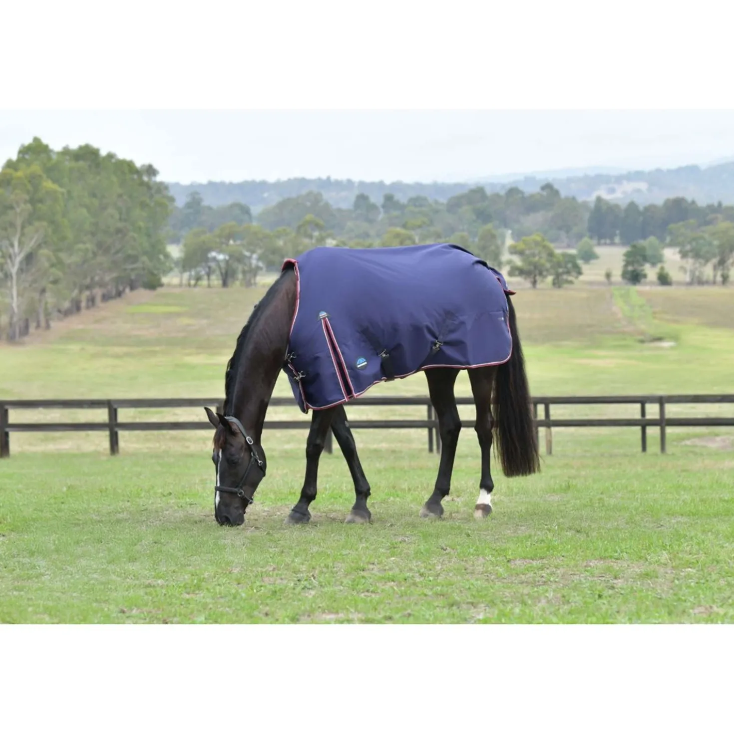 WeatherBeeta ComFiTec Essential Turnout 50g Navy/Burgundy