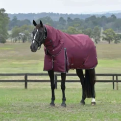 WeatherBeeta ComFiTec Essential Turnout Detach-A-Neck 50g Burgundy/Navy