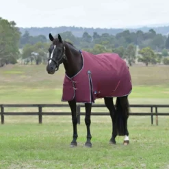 WeatherBeeta ComFiTec Essential Turnout 50g Burgundy/Navy