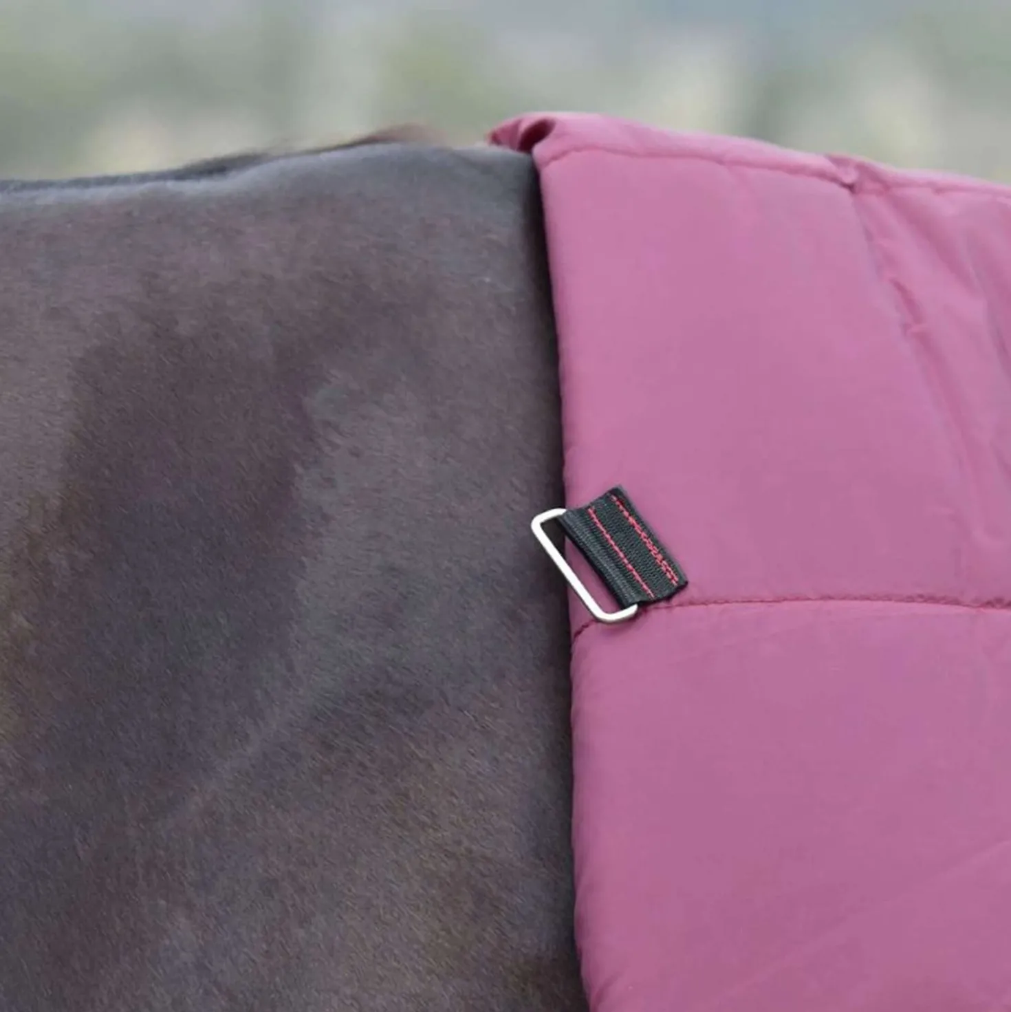 WeatherBeeta ComFiTec Essential Turnout Combo 50g Burgundy/Navy