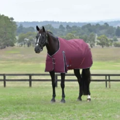 WeatherBeeta ComFiTec Essential Turnout 0g Burgundy/Navy