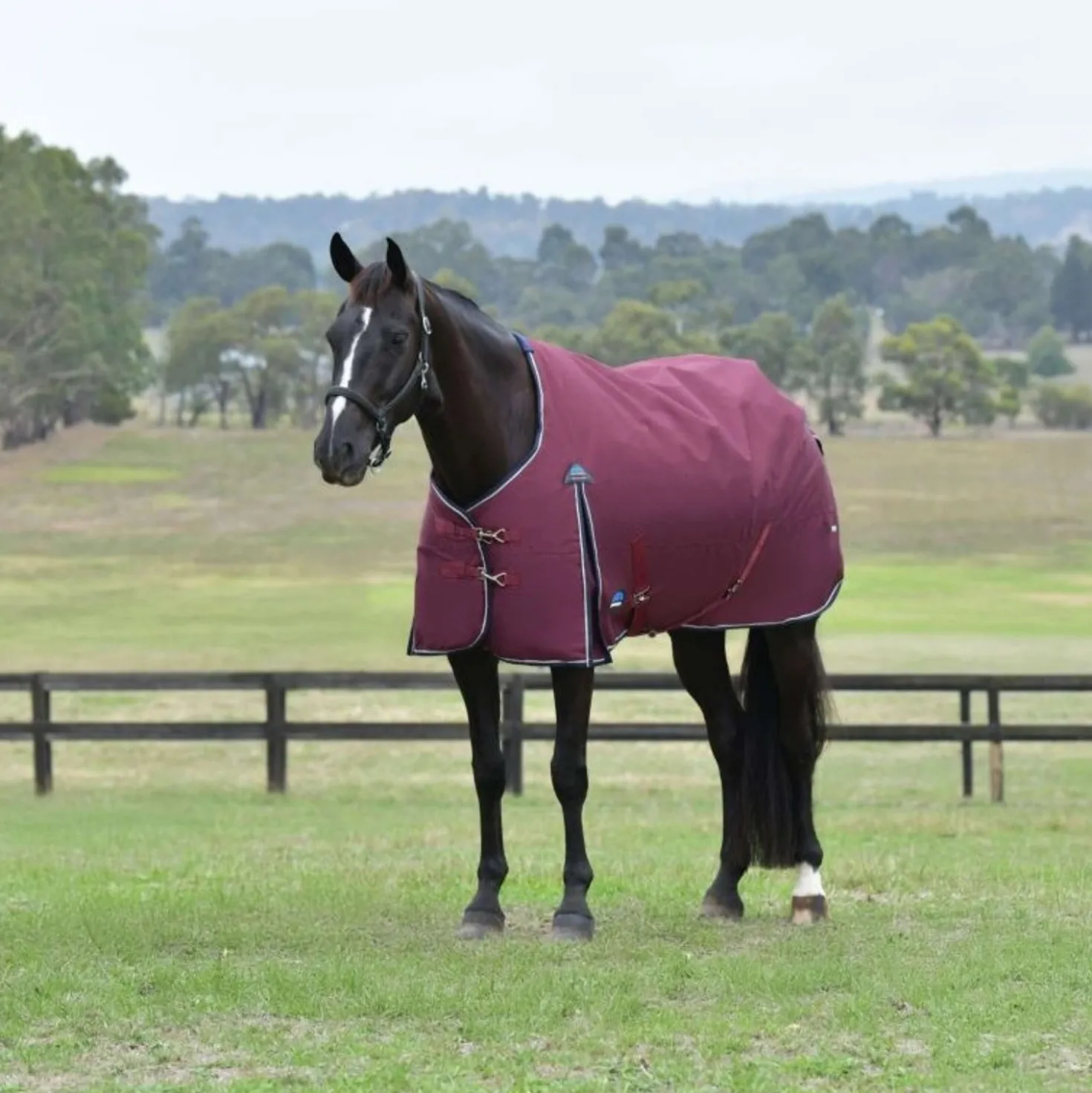 WeatherBeeta ComFiTec Essential Turnout 0g Burgundy/Navy