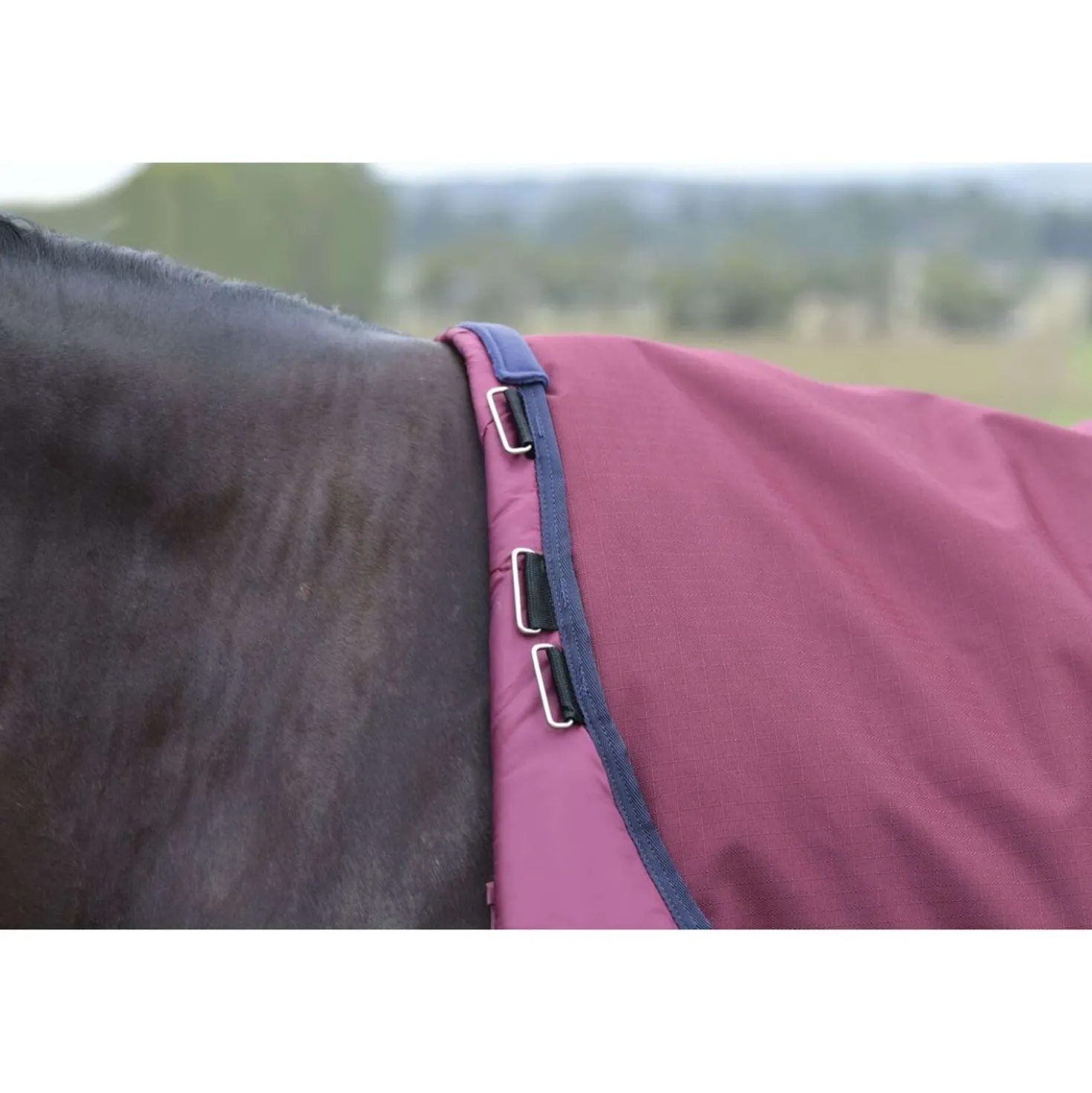 WeatherBeeta ComFiTec Essential Turnout Detach-A-Neck 220g Burgundy/Navy
