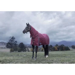 WeatherBeeta ComFiTec Essential Turnout Detach-A-Neck 220g Burgundy/Navy