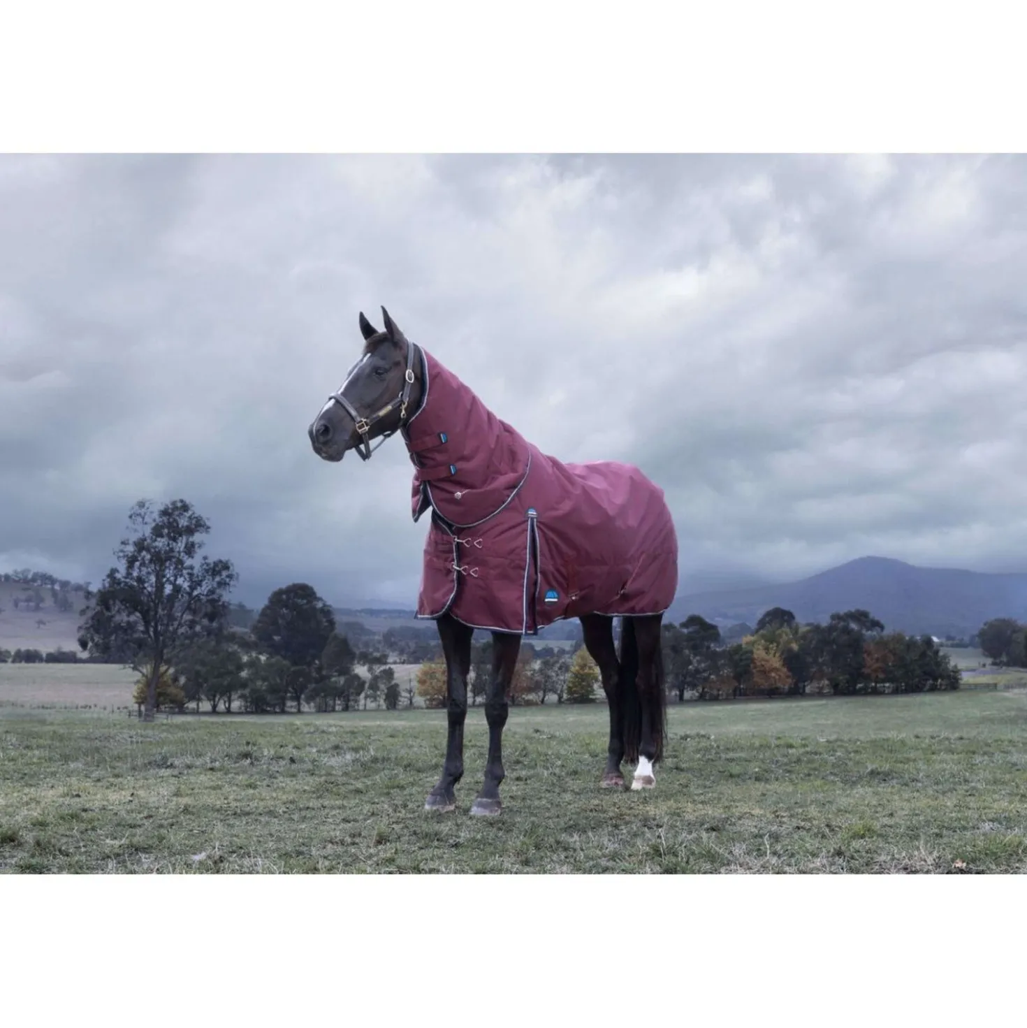 WeatherBeeta ComFiTec Essential Turnout Detach-A-Neck 220g Burgundy/Navy