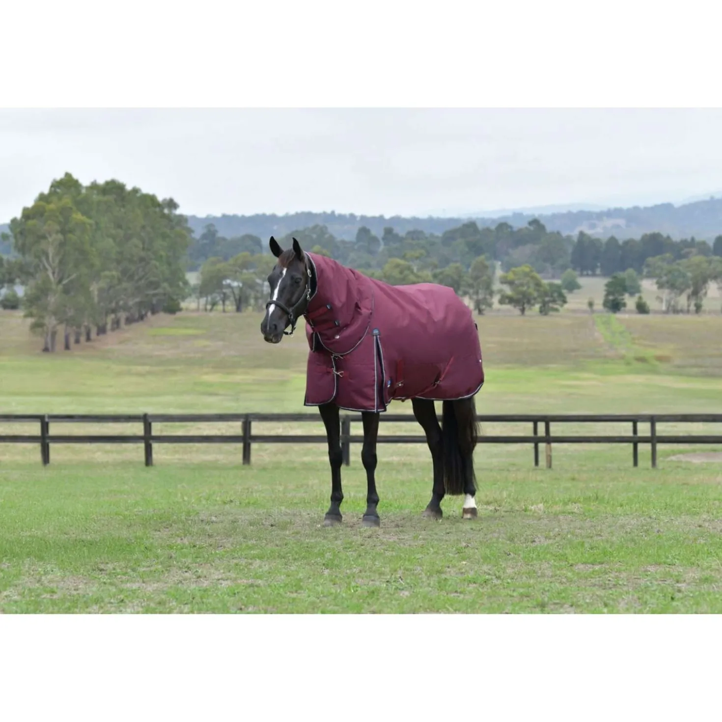 WeatherBeeta ComFiTec Essential Turnout Detach-A-Neck 220g Burgundy/Navy