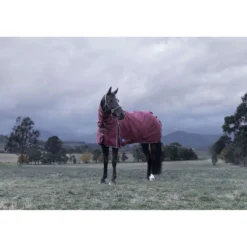 WeatherBeeta ComFiTec Essential Turnout Detach-A-Neck 220g Burgundy/Navy