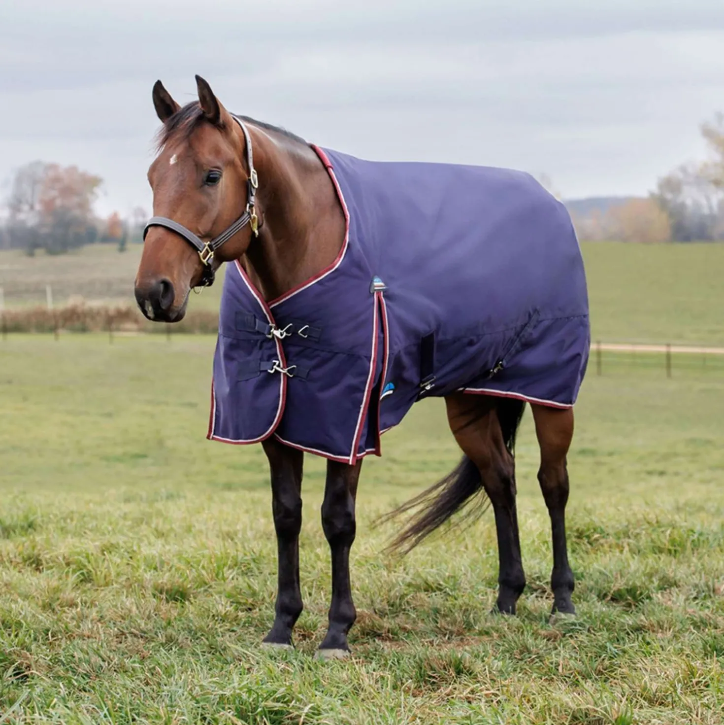 WeatherBeeta ComFiTec Essential Turnout 360g Navy/Burgundy