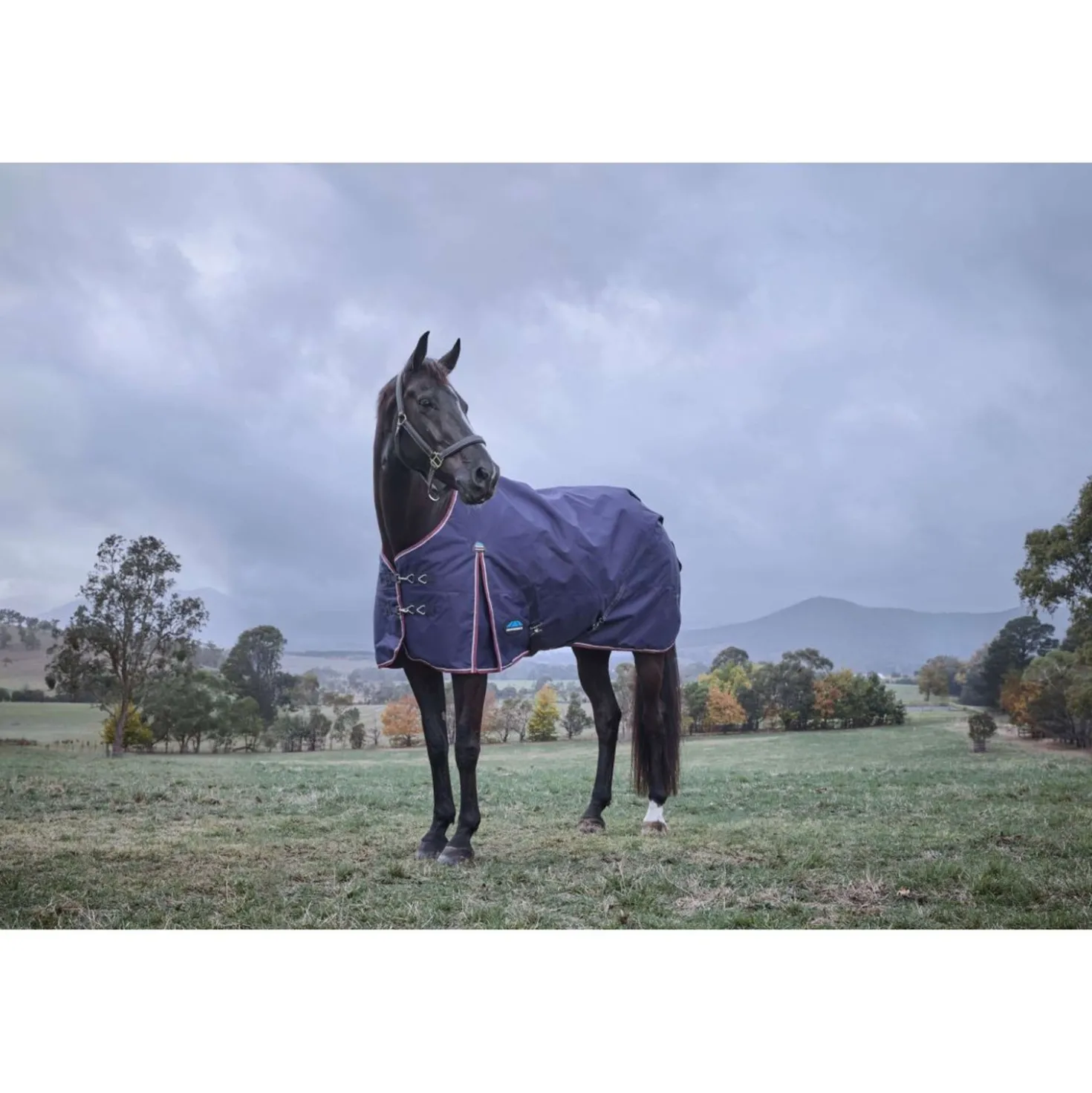 WeatherBeeta ComFiTec Essential Turnout 220g Navy/Burgundy