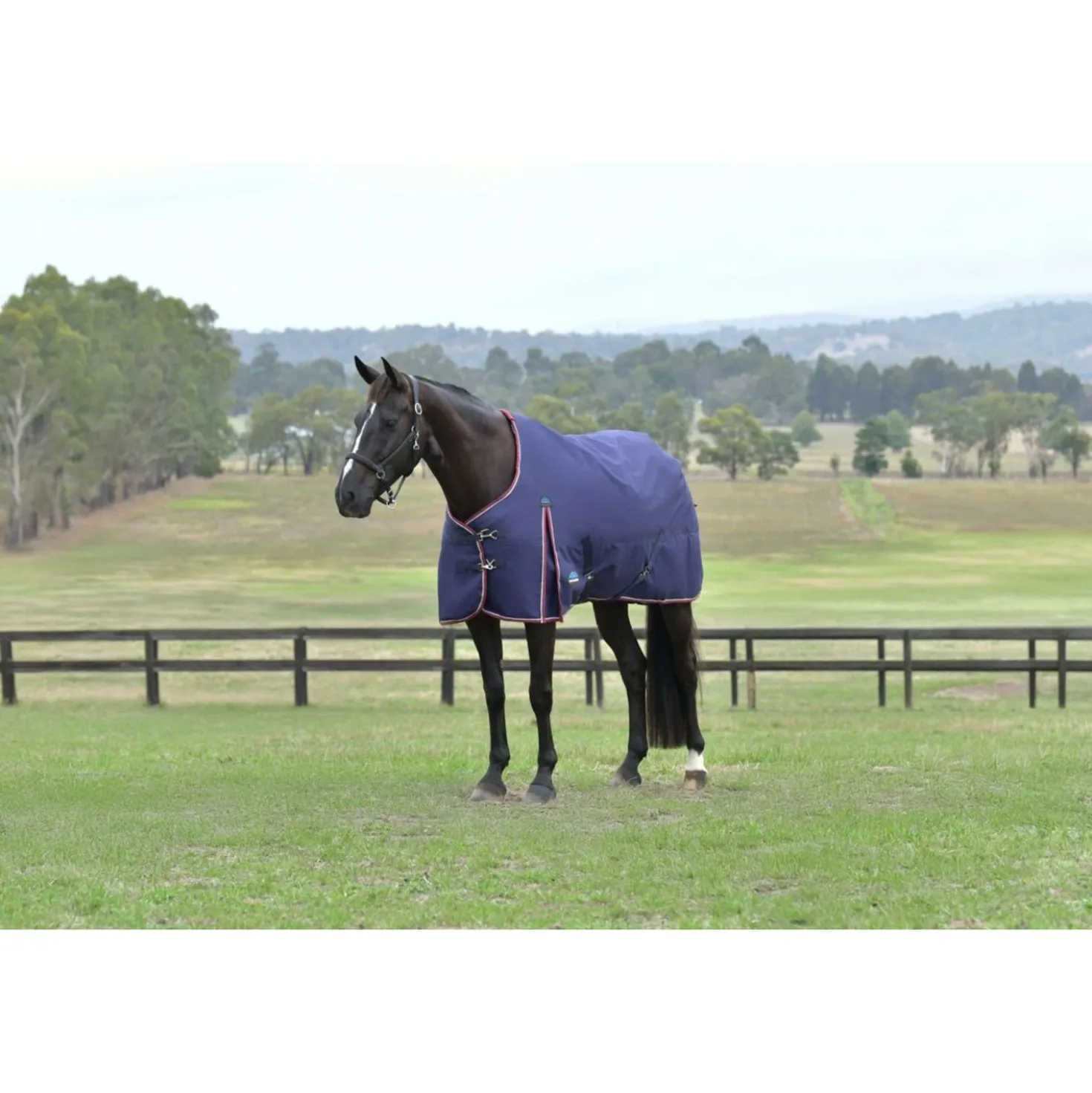 WeatherBeeta ComFiTec Essential Turnout 220g Navy/Burgundy