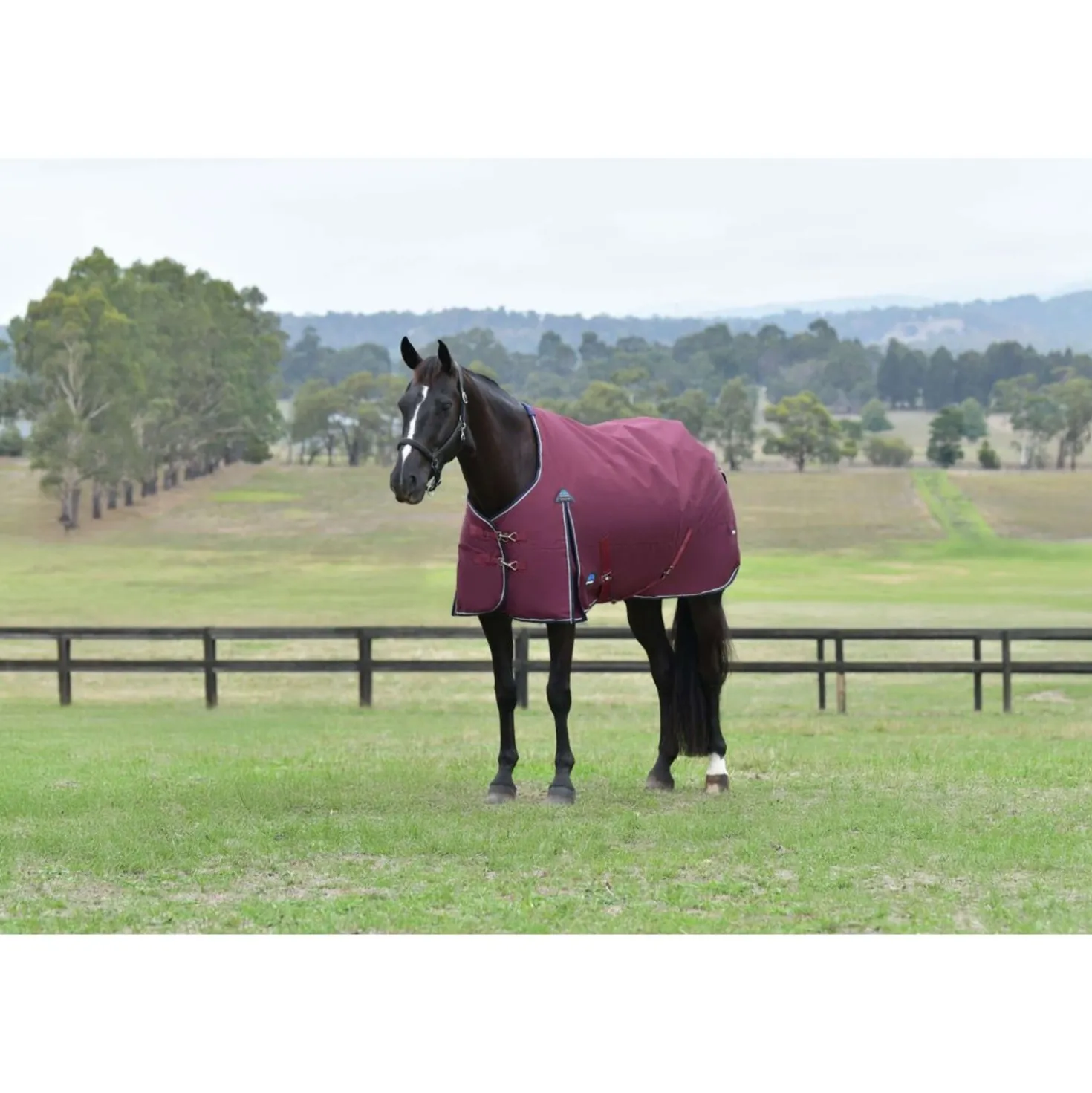 WeatherBeeta ComFiTec Essential Turnout 220g Burgundy/Navy