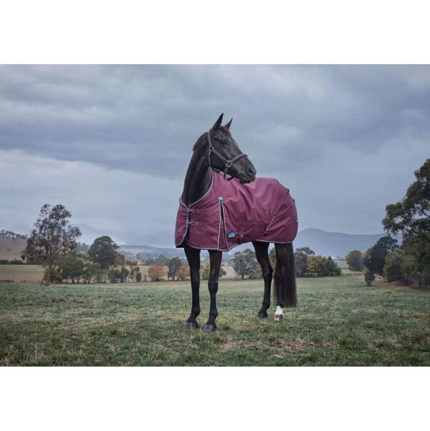 WeatherBeeta ComFiTec Essential Turnout 220g Burgundy/Navy