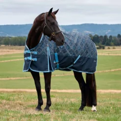 WeatherBeeta ComFiTec Heritage Turnout 220g Paisley Print