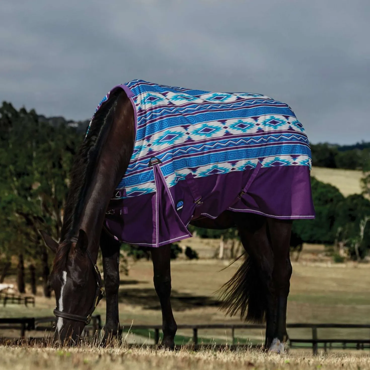 WeatherBeeta ComFiTec Legend Turnout 220g Purple Navajo Print